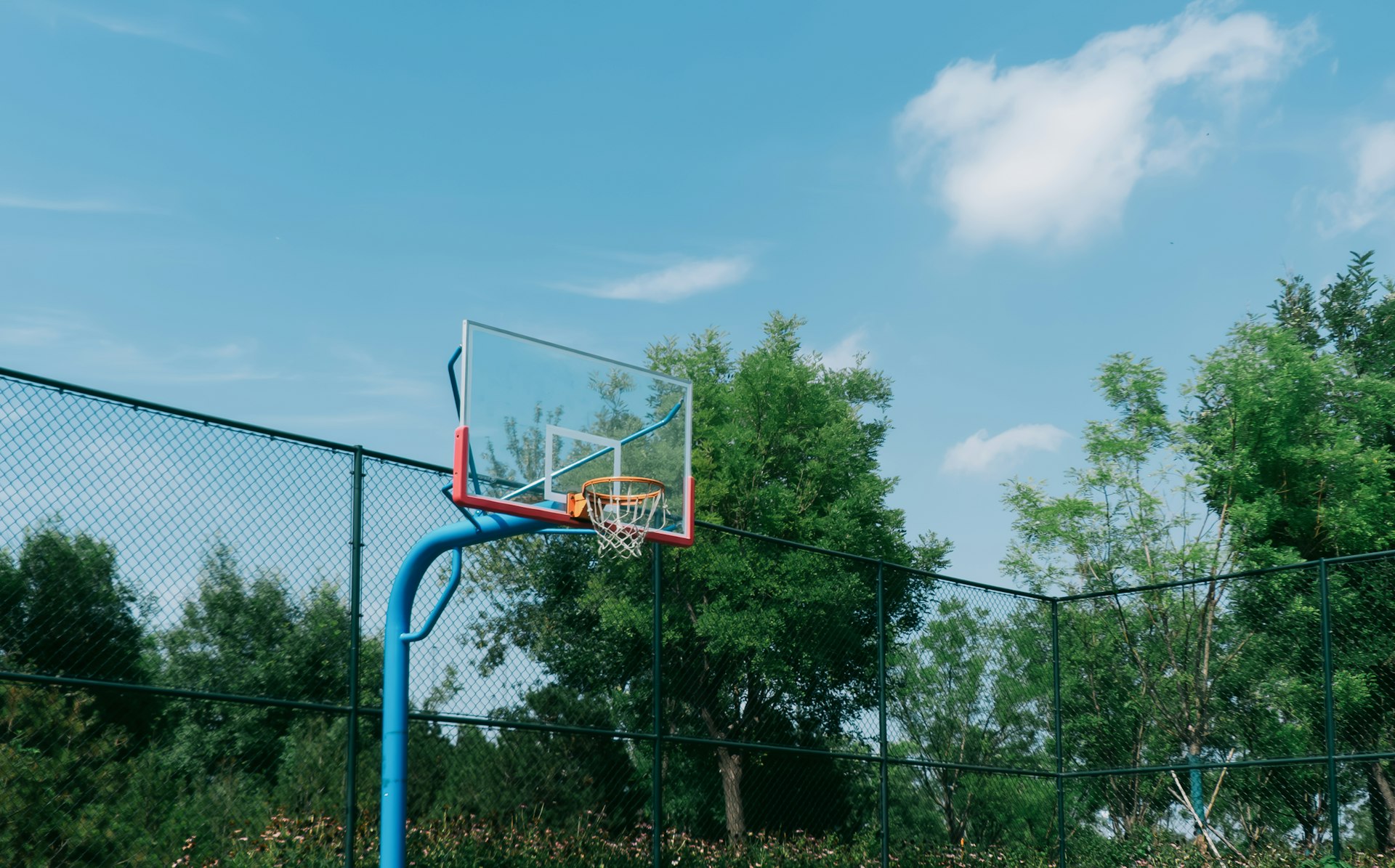 Basketball hoop against a blue sky with trees
